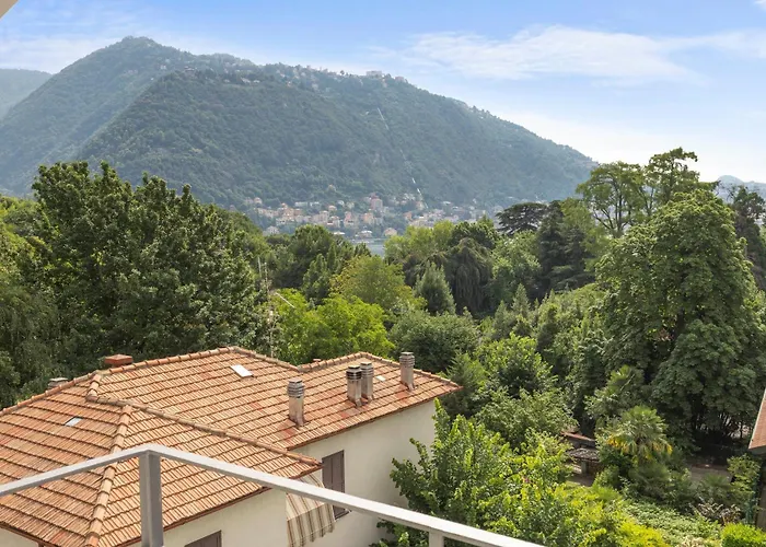 Olmo